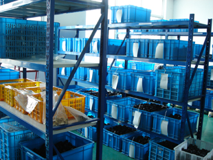 ��չܵ�����